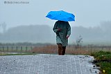 18-11-2023 Breda - Het is grijs en nat een wandelaar beschermt haar gezicht met een paraplu tegen de striemende regen. - Fotokrant
